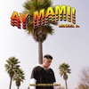 Ay Mami! - Single