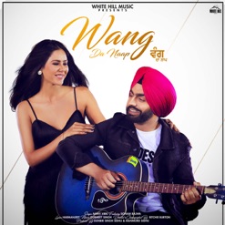 WANG DA NAAP cover art