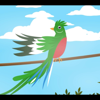El Quetzal - Guate Para Niños