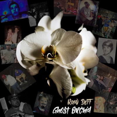 Ghost Orchid