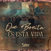 Que Bonita Es Esta Vida (feat. Sexta Serie & Ultra Sierreno) - Single