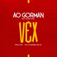 Vex (feat. Kwame Vista) - Single - Ao Gorman