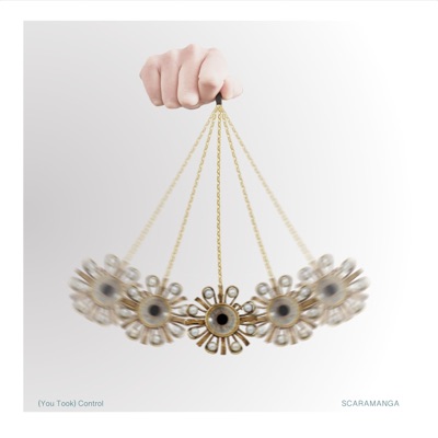(You Took) Control - Single