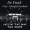 Jazzin' the Way You Know (feat. Chantal Kashala) - Dr.Funk lyrics