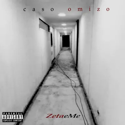 Caso Omizo - ZetaEme Caso Omizo - ZetaEme