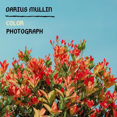 Color Photograph - Single