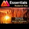 Essentials (Michell van Wijngaarden Remix) - Roderick Fox lyrics