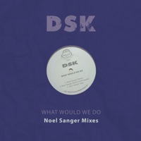What Would We Do (Noel Sanger Mixes) - Single - DSK