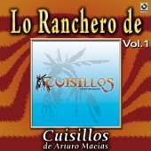 Joyas Musicales: Lo Ranchero de Cuisillos de Arturo Macías, Vol. 1 artwork