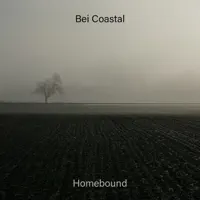 Homebound
