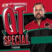 The Qt Special (Qt Marshall a.E.W. Theme) artwork