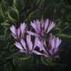 All Again (feat. Snøw) - Single