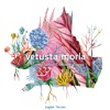 23 de Junio by Vetusta Morla iTunes Track 3