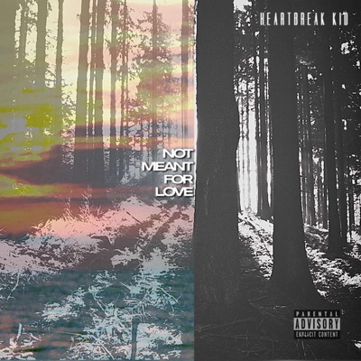 Not Meant for Love - EP