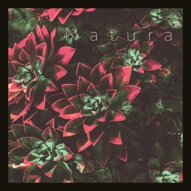 Natura mvnitou