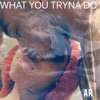 What You Tryna Do - Single