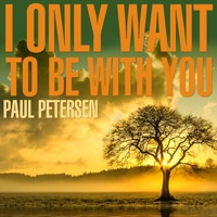 I Only Want to Be With You