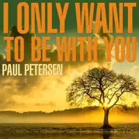 I Only Want To Be With You — Paul Petersen