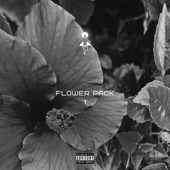 Flower Pack 1 - EP artwork