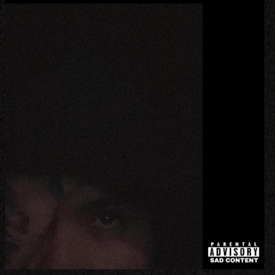 No Te Dejaré De Amar - Single