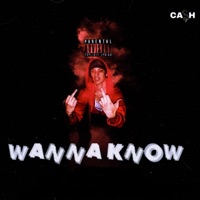 Wanna Know - Single - WOKBANZ