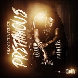 Erthang (feat. King Slum) Shawn Tha Prince