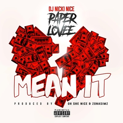 Mean It (feat. Paper Lovee) - Single