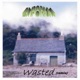 Wasted Remix Single