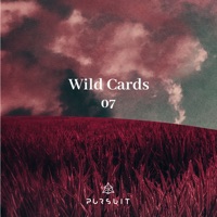Wild Cards 07 - EP - Raphael Mader, Monophase (IT), PARALEL & Naji Arun