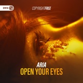 Open Your Eyes (Extended Mix) artwork