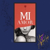 Mi Amor (feat. Usman) - Single - Aftr.The.Hiigh