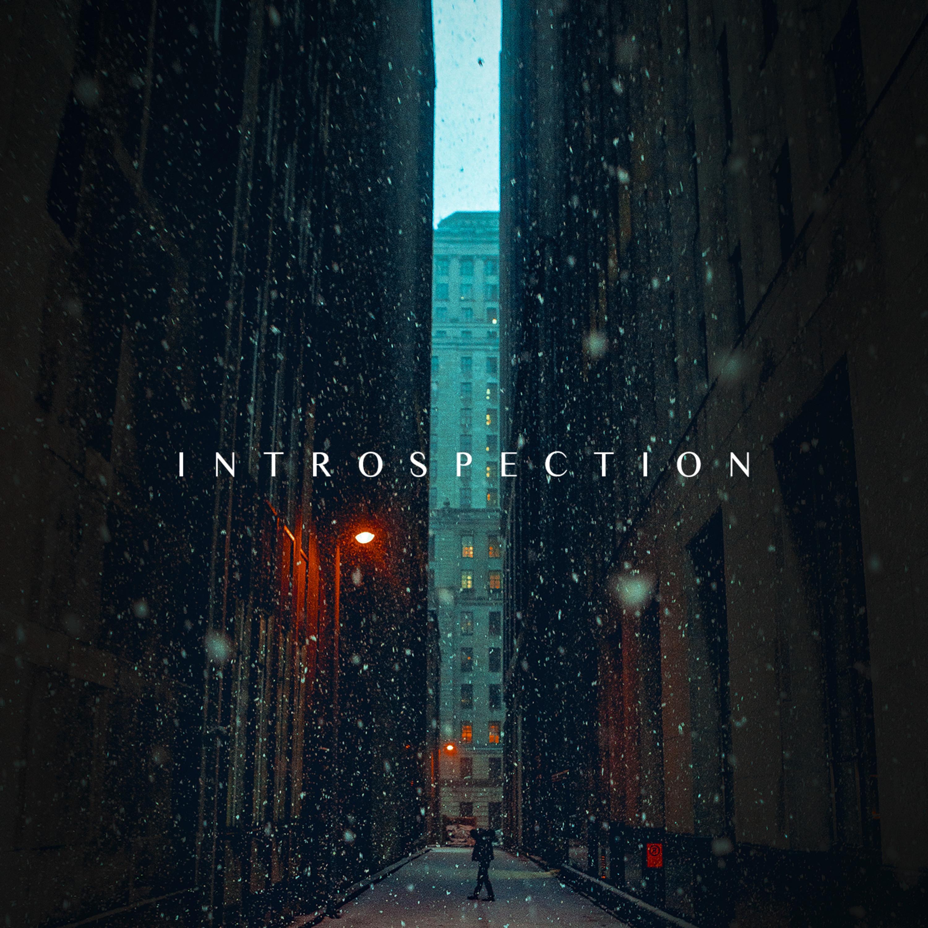 Introspection - Single