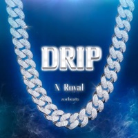Drip - Single - N Royal