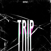 TRIP artwork