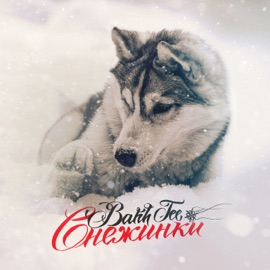 Снежинки Bahh Tee