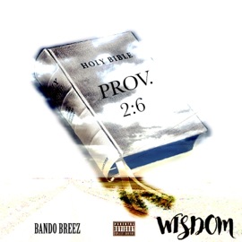 Wisdom Bando Breez