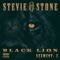 Vibe (feat. ¡MAYDAY! & Stige) - Stevie Stone lyrics