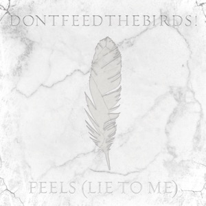 Feels (Lie to Me) - Single