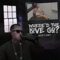 Where'd the Love Go (feat. Honey) - Single - Matty Boy