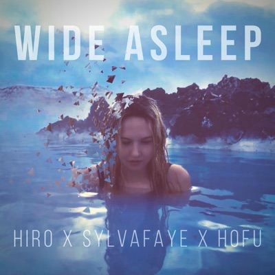Wide Asleep (feat. Sylva Faye & HO•FU) - Single