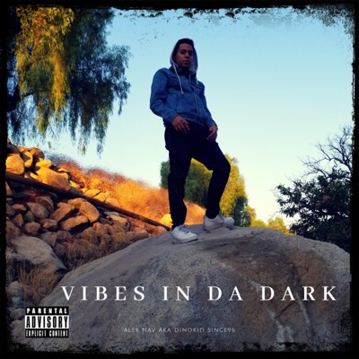 Vibes in Da Dark Ep