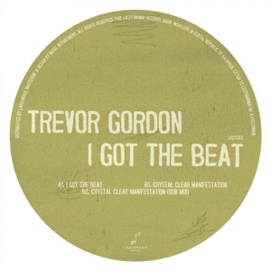 I Got the Beat - Single