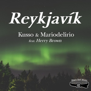 Reykjavík (feat. Herry Brown) - Single