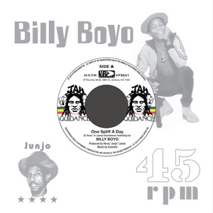 One Spliff A Day - Single