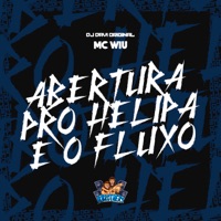 Abertura pro Helipa É o Fluxo - Single - DJ DAVI ORIGINAL & MC Wiu