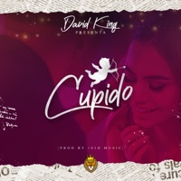 Cupido - Single - David King