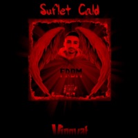 Vinovat - Single - FRDM