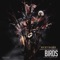 Birds (feat. Young Boss, Mr. Hustle & J Spades) - Ricky Banks lyrics