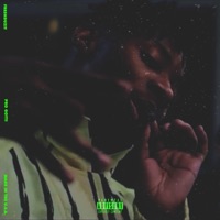 Pro Gotti - Single - FreshDuzIt
