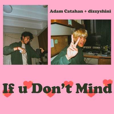 If U Don't Mind (feat. Adam Catahan) - Single
